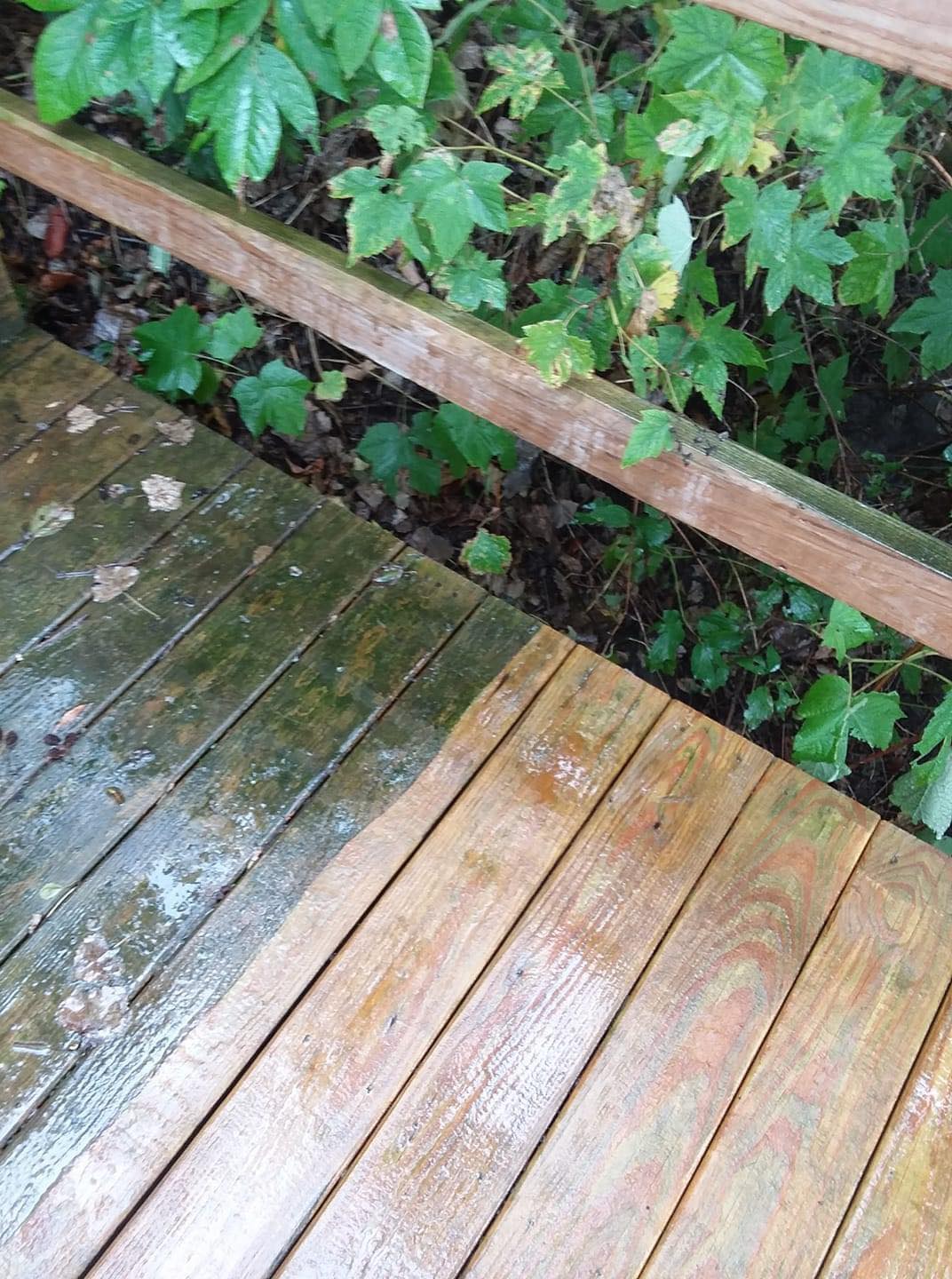 deck cleaning erie pa