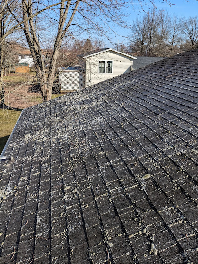 roof cleaning erie pa