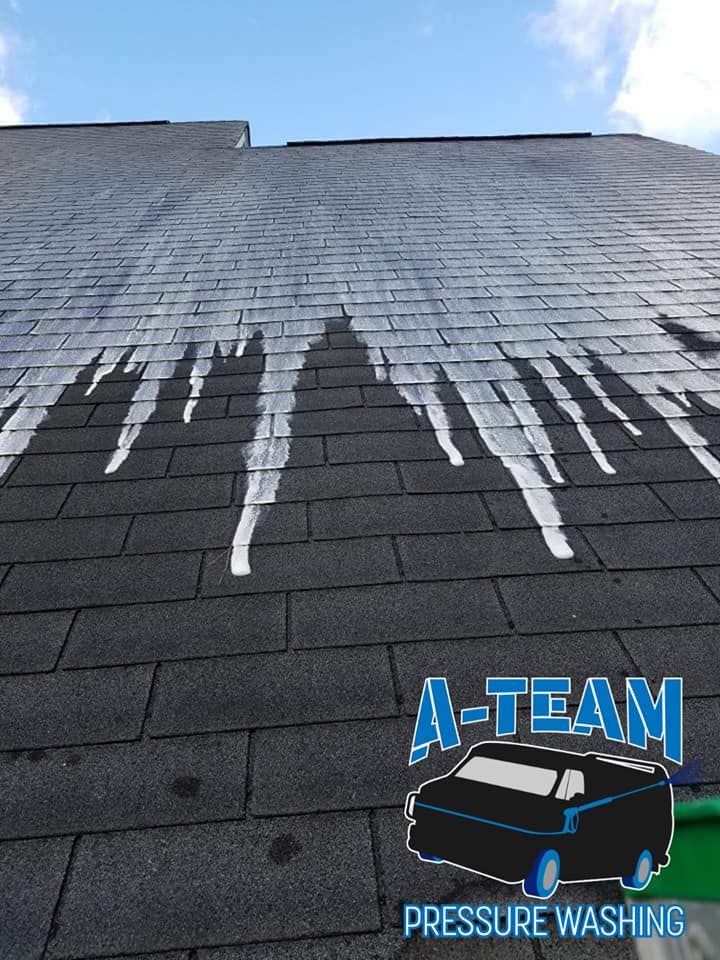 roof cleaning erie pa