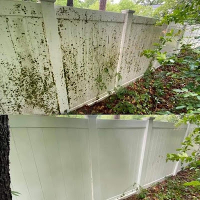 concrete cleaning erie pa