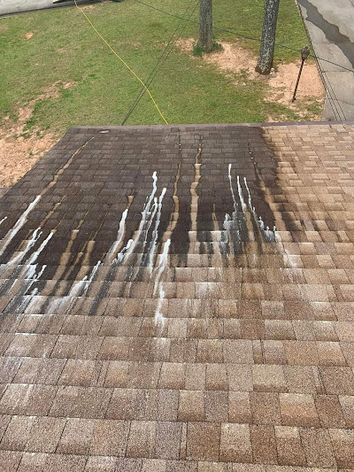 roof cleaning erie pa