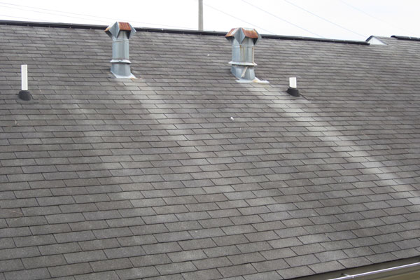 roof cleaning service